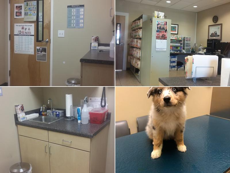 Scotts Creek Animal Hospital: Dr. James Cartner