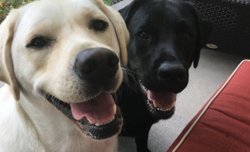 Theisen Linnea DVM Pollocksville