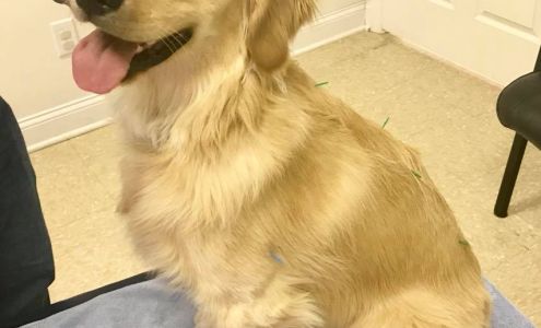 Integrative Healing Veterinary Clinic & Mobile Services Pollocksville