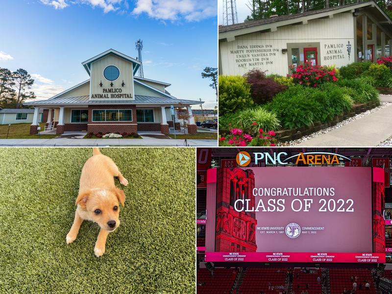 Pamlico Animal Hospital