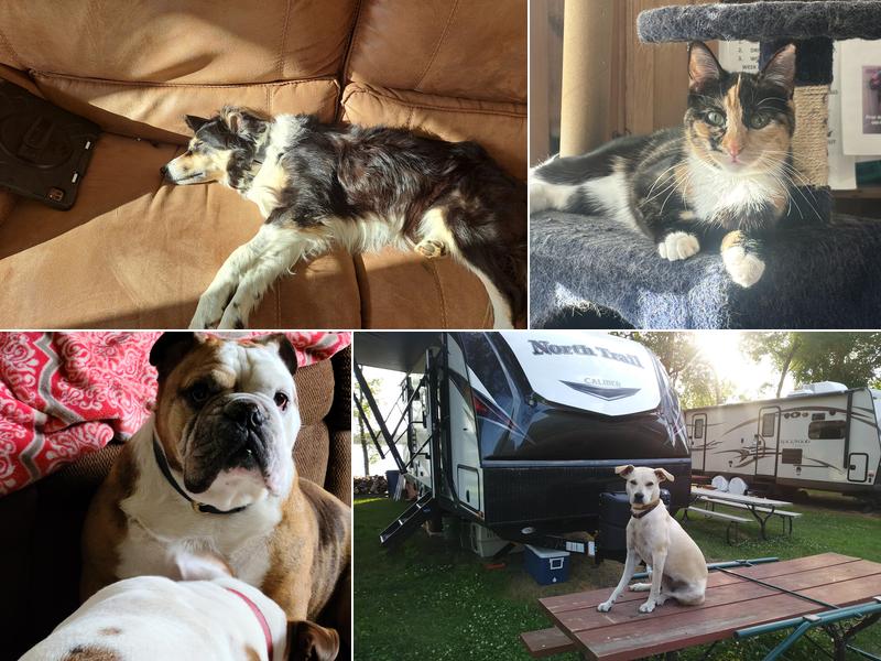 Appleton Veterinary Clinic