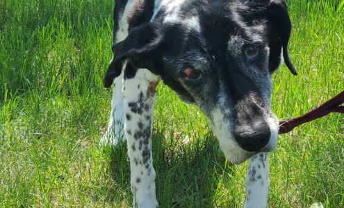 Hartford Veterinary Clinic 903 N Oaks Ave, Hartford South Dakota 57033