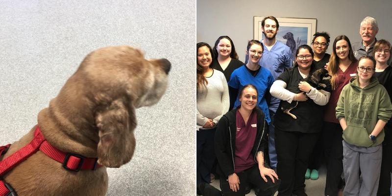 Barney & Russum Animal Clinic: Veltri Shannon D DVM