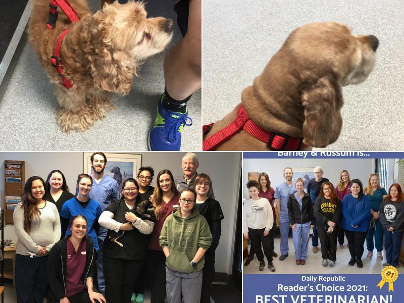 Barney & Russum Animal Clinic: Chen Valerie DVM