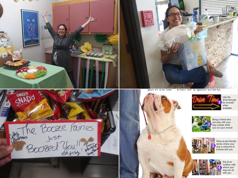 Family Pet Hospital: SINGH, RUPINDER DVM,