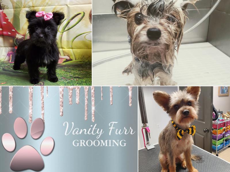 Vanity Furr Grooming