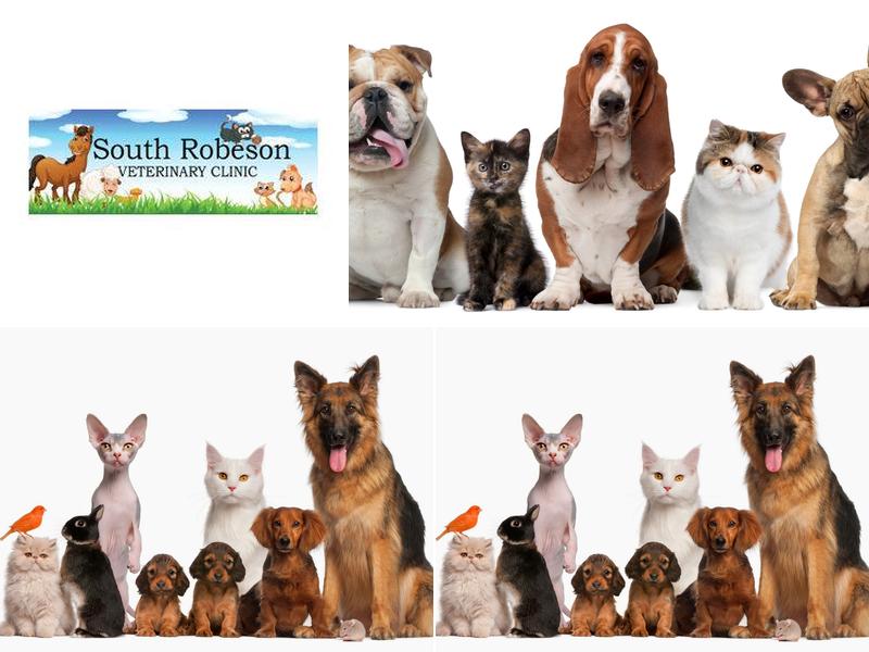 South Robeson Veterinary Clinic PA