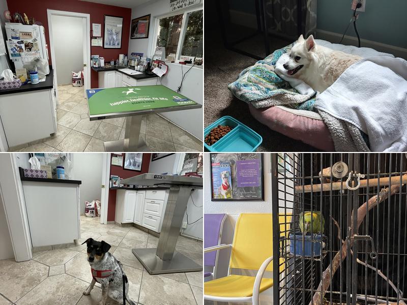 Stevenson Veterinary Clinic