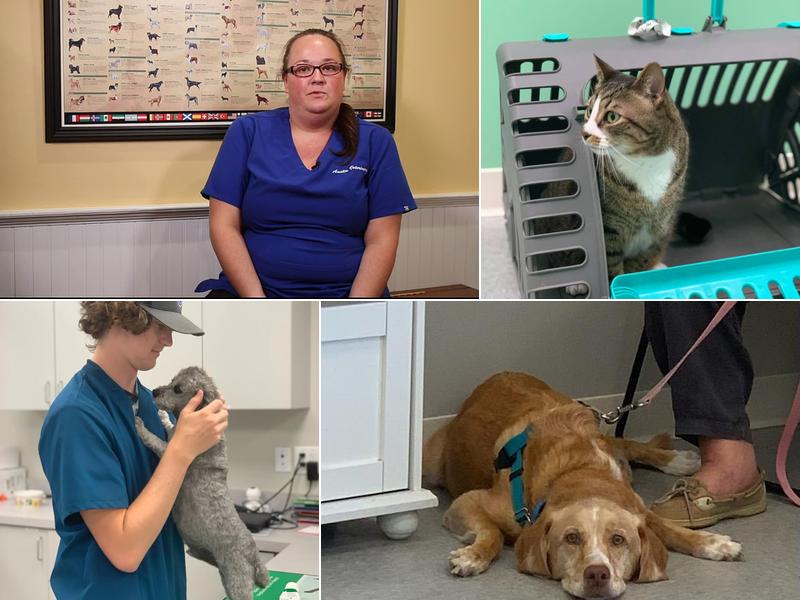 Austin Veterinary Animal Hospital