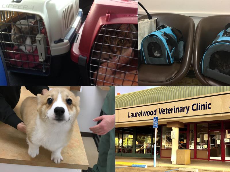 Laurelwood Veterinary Clinic