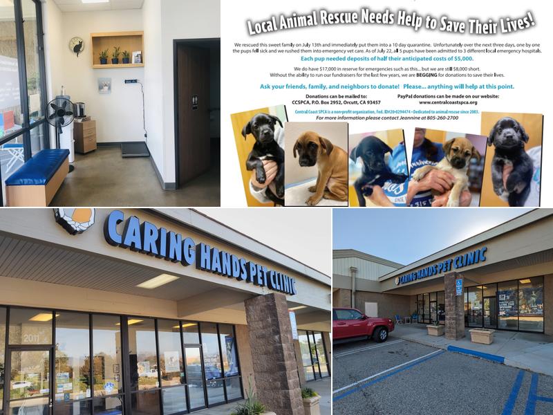 Caring Hands Pet Clinic