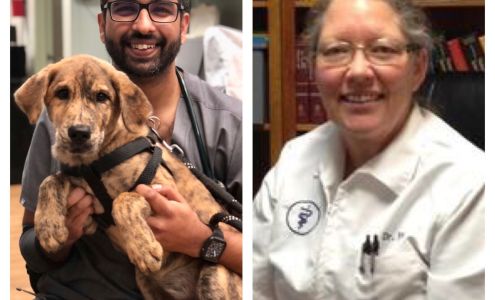 Plaza Boulevard Pet Hospital