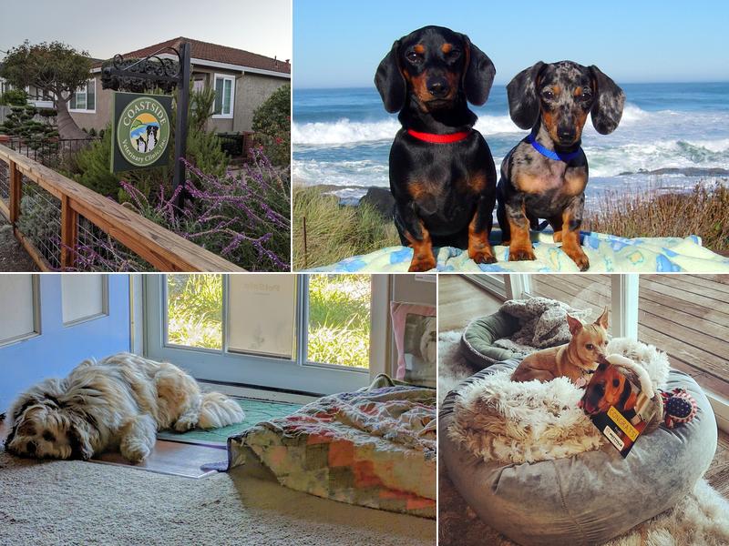 Coastside Veterinary Clinic, Inc.