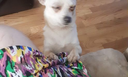 Kershaw Veterinary Clinic 105 E Church St, Kershaw South Carolina 29067