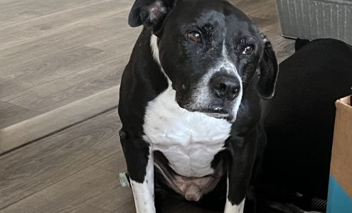 Black Creek Animal Hospital 8835 US-280 E, Black Creek Georgia 31308