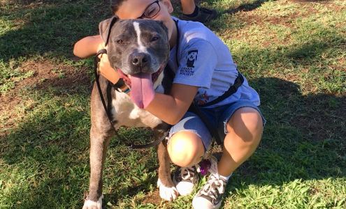 Haven Humane Society Adoption Center