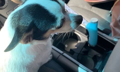 Jennifer Presleigh, DVM Millville