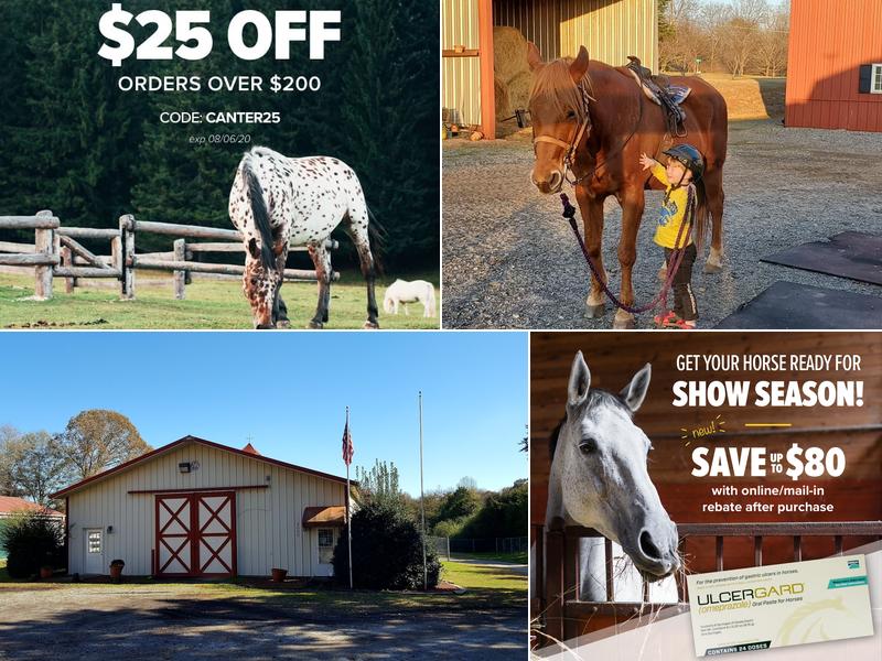 Maiden Large Animal Hospital