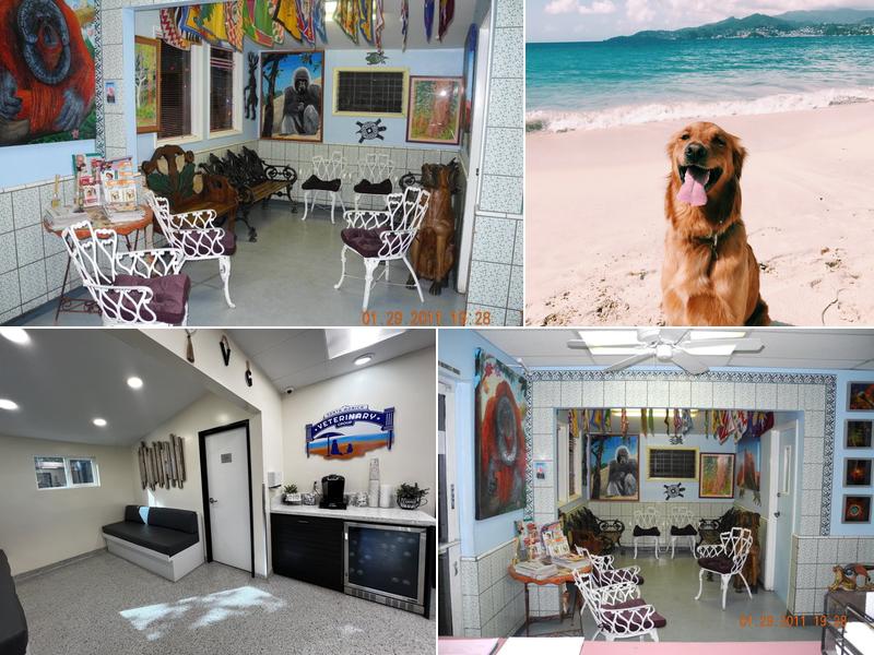 Santa Monica Veterinary Group