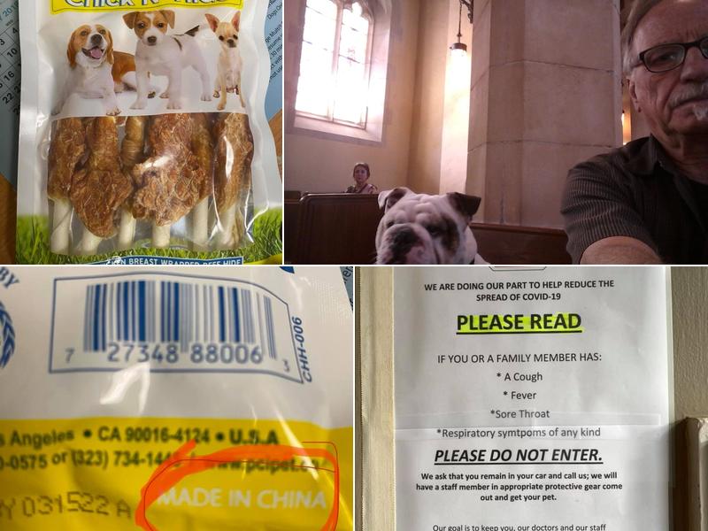 Rasmussen Mc Kenzie DVM