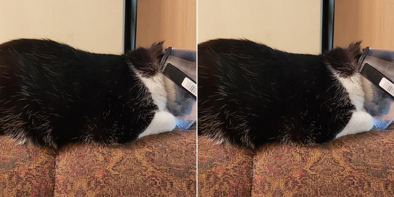 Basinger R Randy DVM