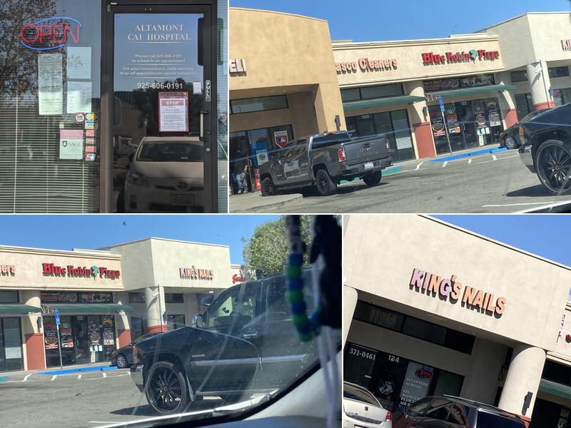 Altamont Cat Hospital