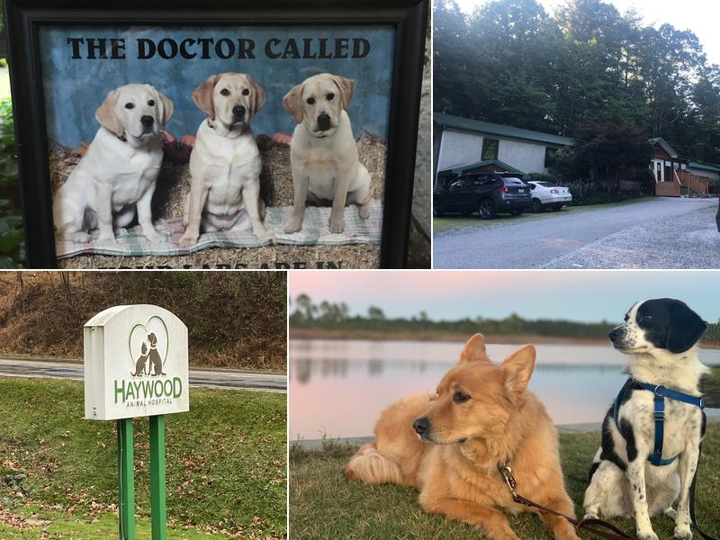 Haywood Animal Hospital