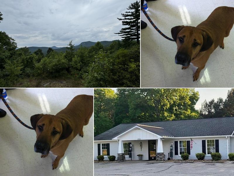 Pickens Animal Hospital