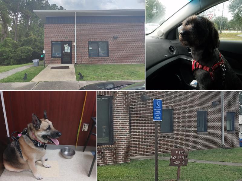 South Atlantic District Veterinary Command (US Army)