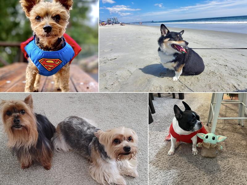 Waterway Animal Hospital