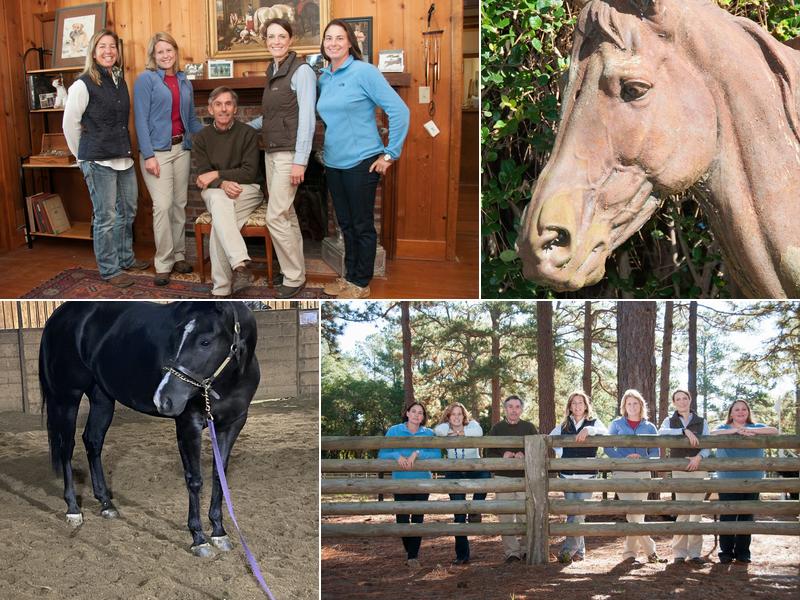 South Carolina Equine Associates Inc