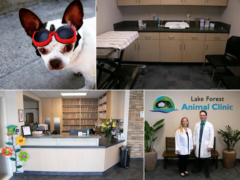 Simply Spay and Neuter of Orange County