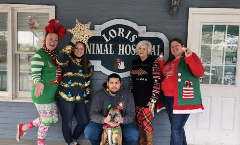 Loris Animal Hospital 143 Suggs St, Loris South Carolina 29569