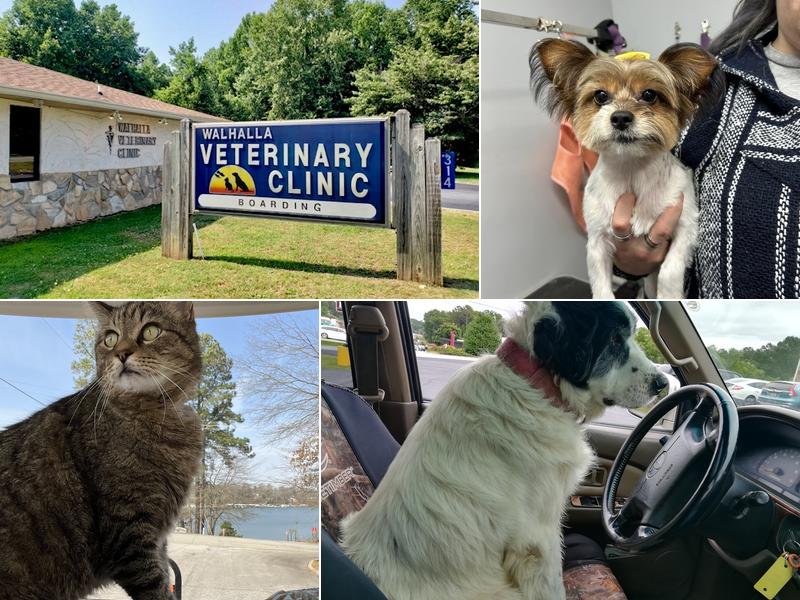 Walhalla Veterinary Hospital