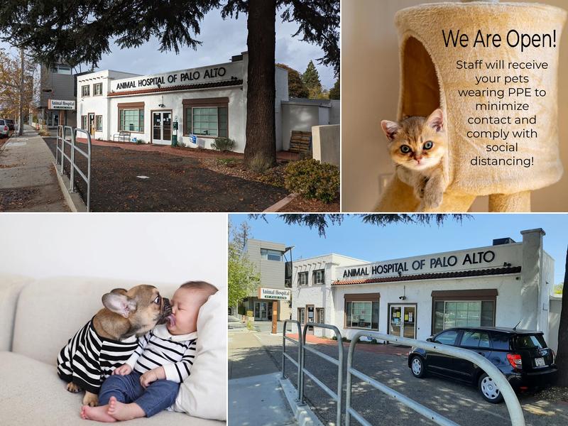 Animal Hospital of Palo Alto