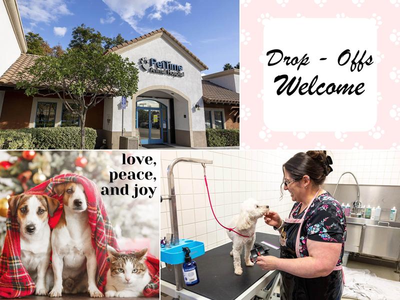 Pet Time Animal Hospital