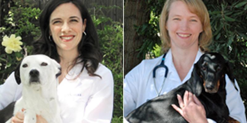 Dr. Katherine Wolf, DVM