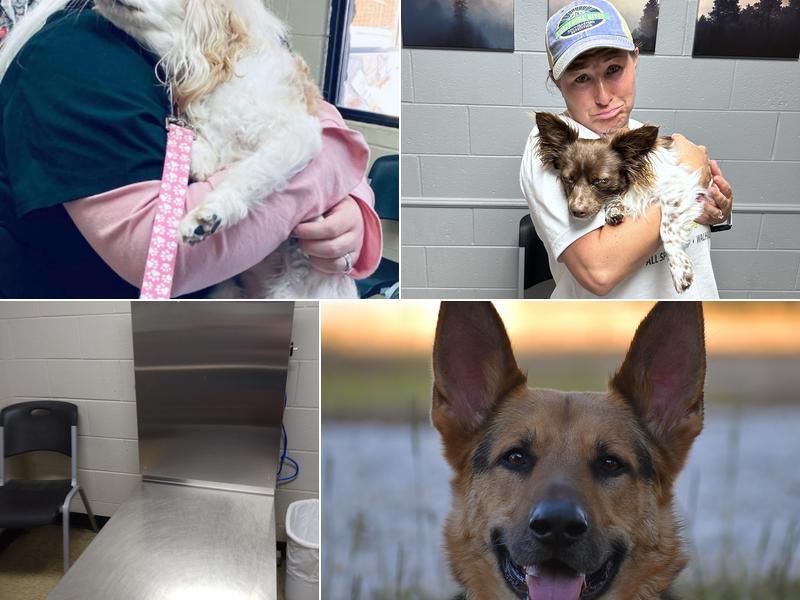 Walhalla Veterinary Clinic: Stroud David P DVM