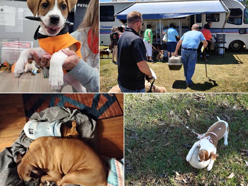 Southeastern Pet Vacc