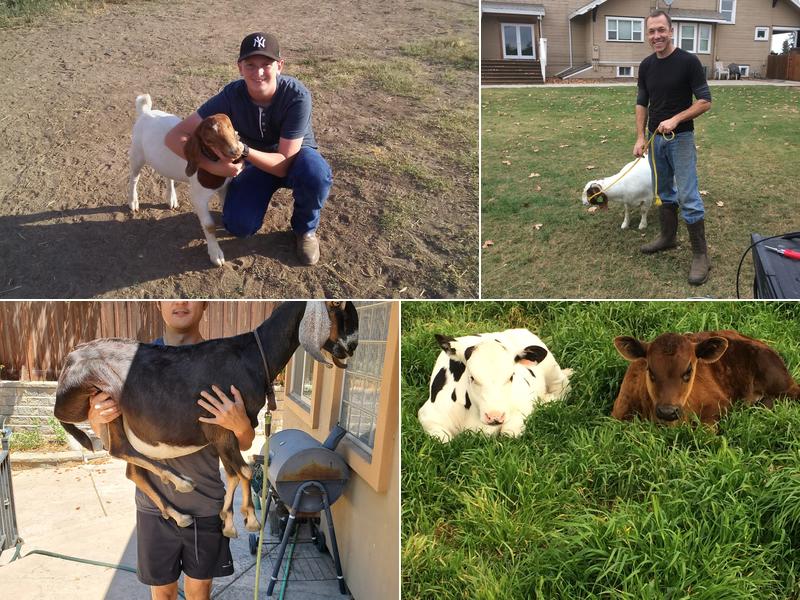 Mid Valley Large Animal Services