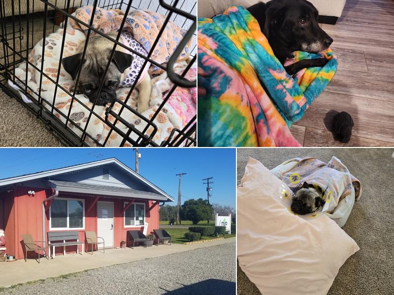 Monticello Veterinary Practice