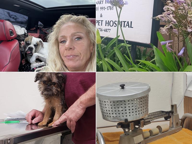 Fatima-Restani Veterinary Hospital