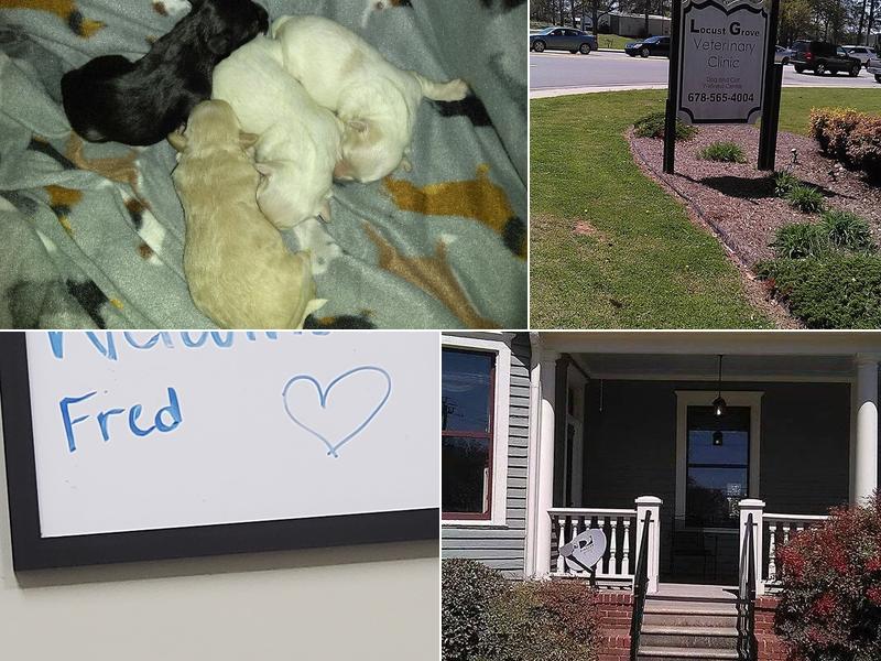 Mallards Landing Veterinary Hospital