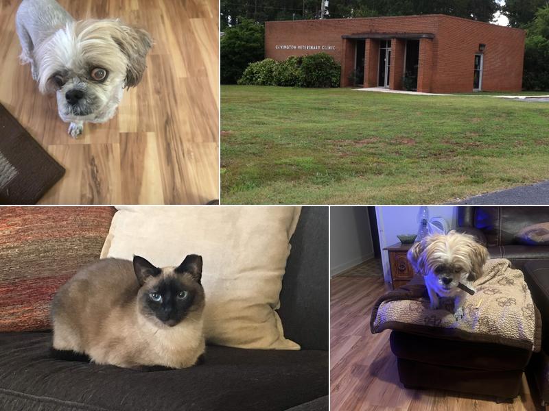 Covington Veterinary Clinic, PC