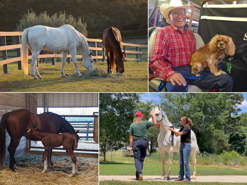 Barrow Veterinary Services