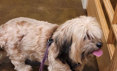 Price Creek Animal Hospital 401 Price Creek Rd, Bremen Georgia 30110