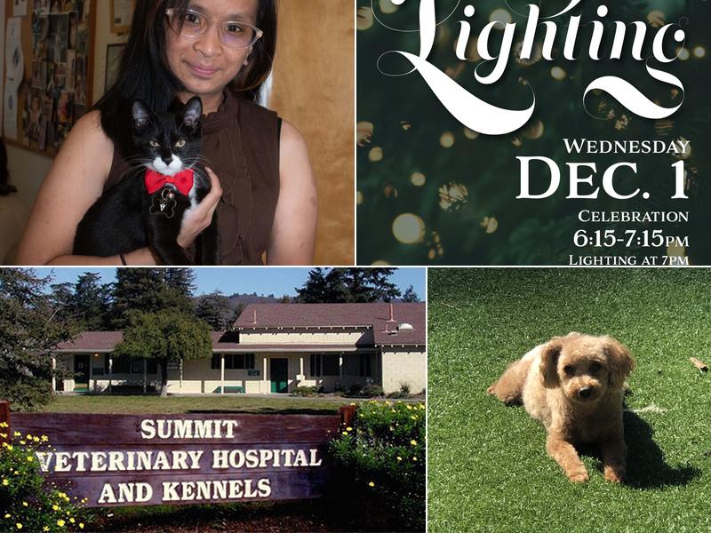 Summit Veterinary Hospital