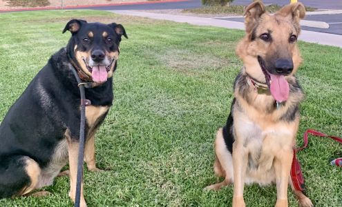 Governor Animal Clinic