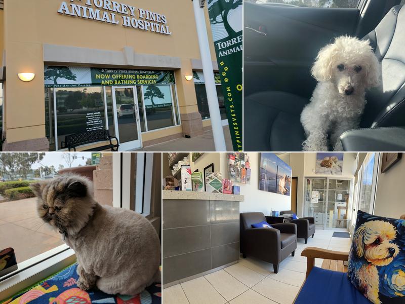 Torrey Pines Animal Hospital