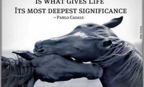 Mid-Valley Equine Tulare